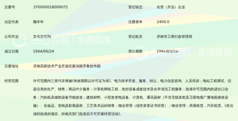 山东中实电力科技总公司